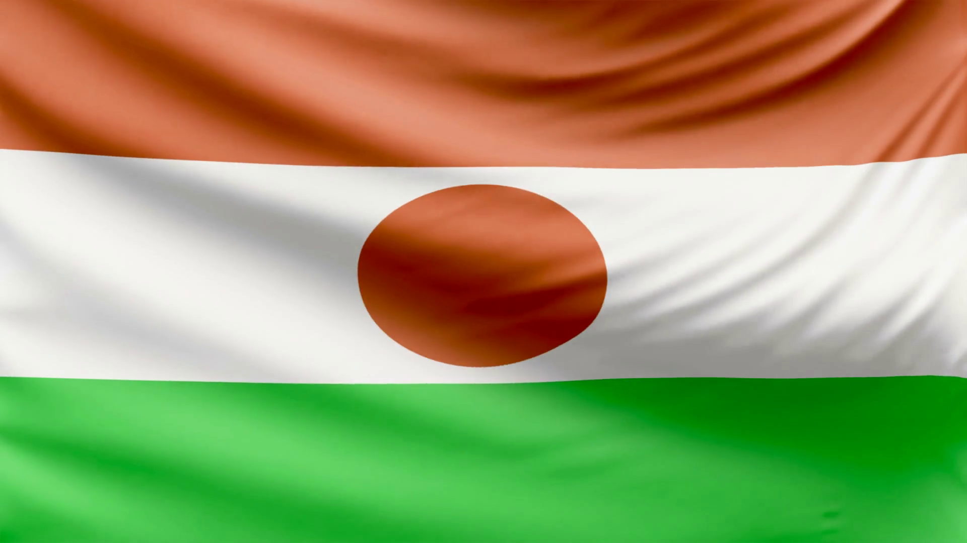 NIGER FLAG_result